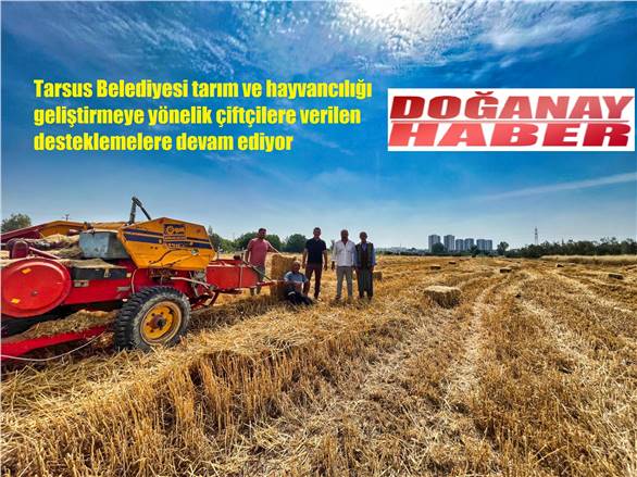 TARSUS BELEDİYESİ’NDE BESİCİLERE HİBELİ YEM DESTEĞİ